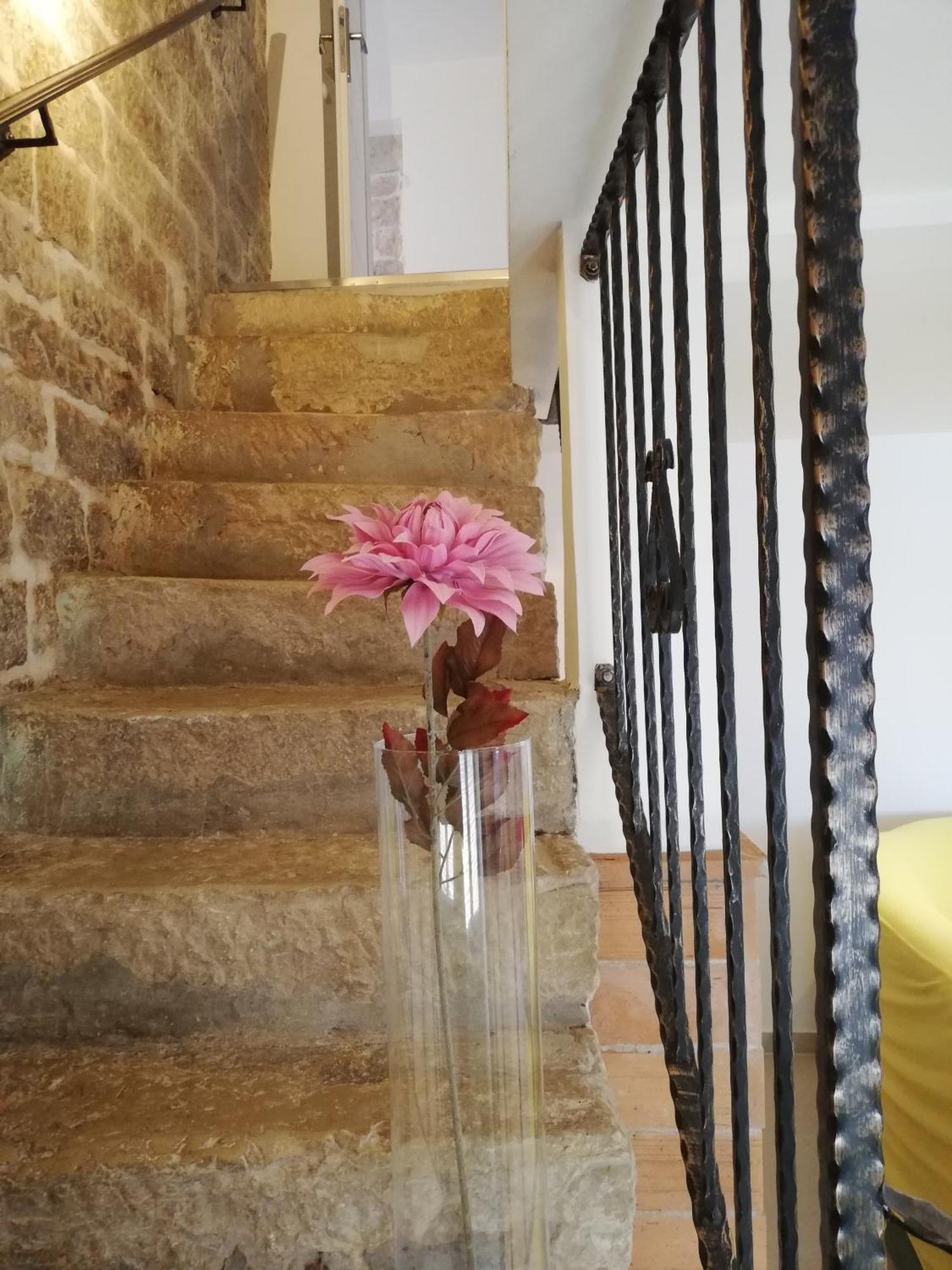 הוילה Sveti Lovreč Pazenatički Lory מראה חיצוני תמונה