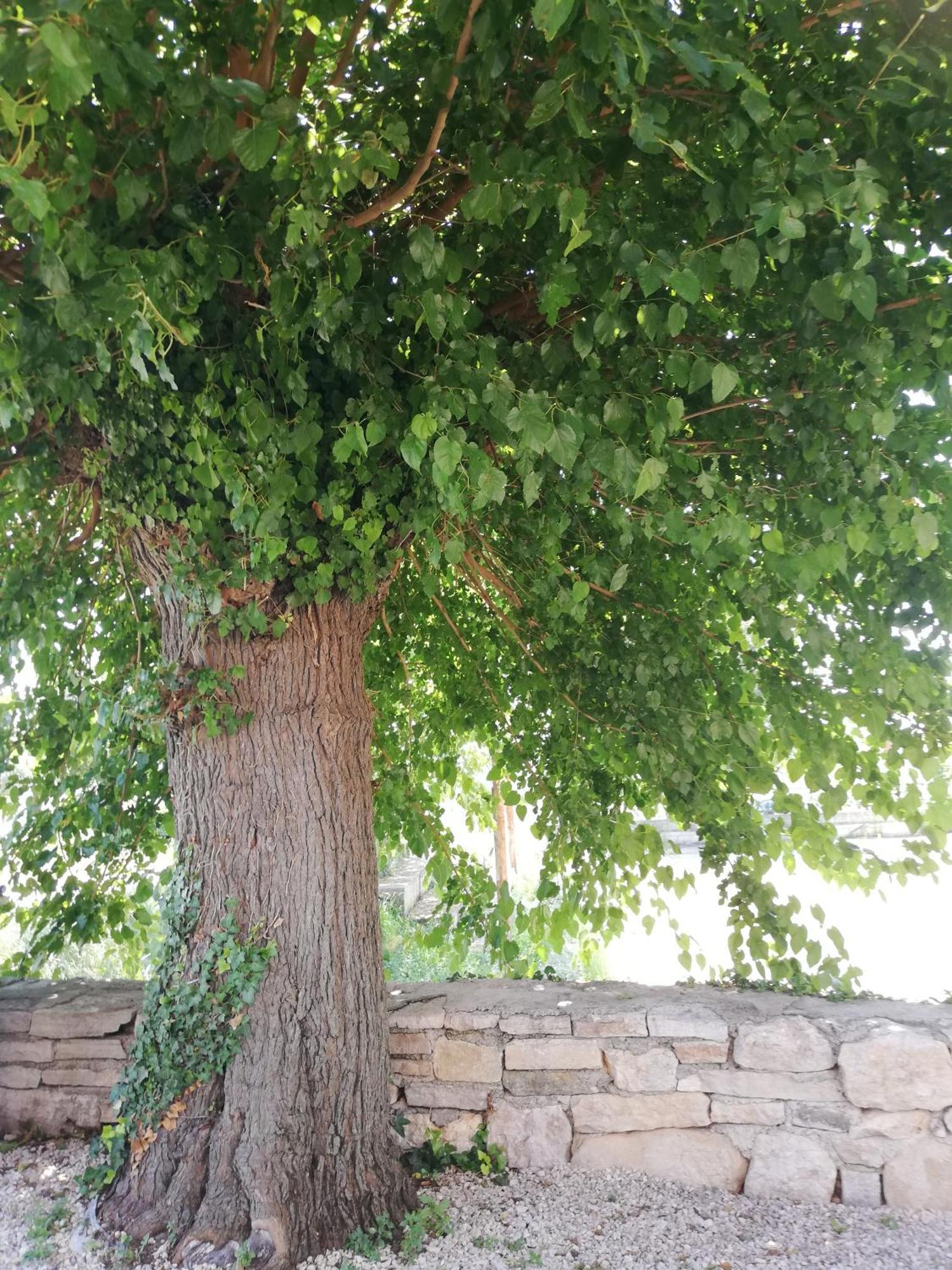 הוילה Sveti Lovreč Pazenatički Lory מראה חיצוני תמונה