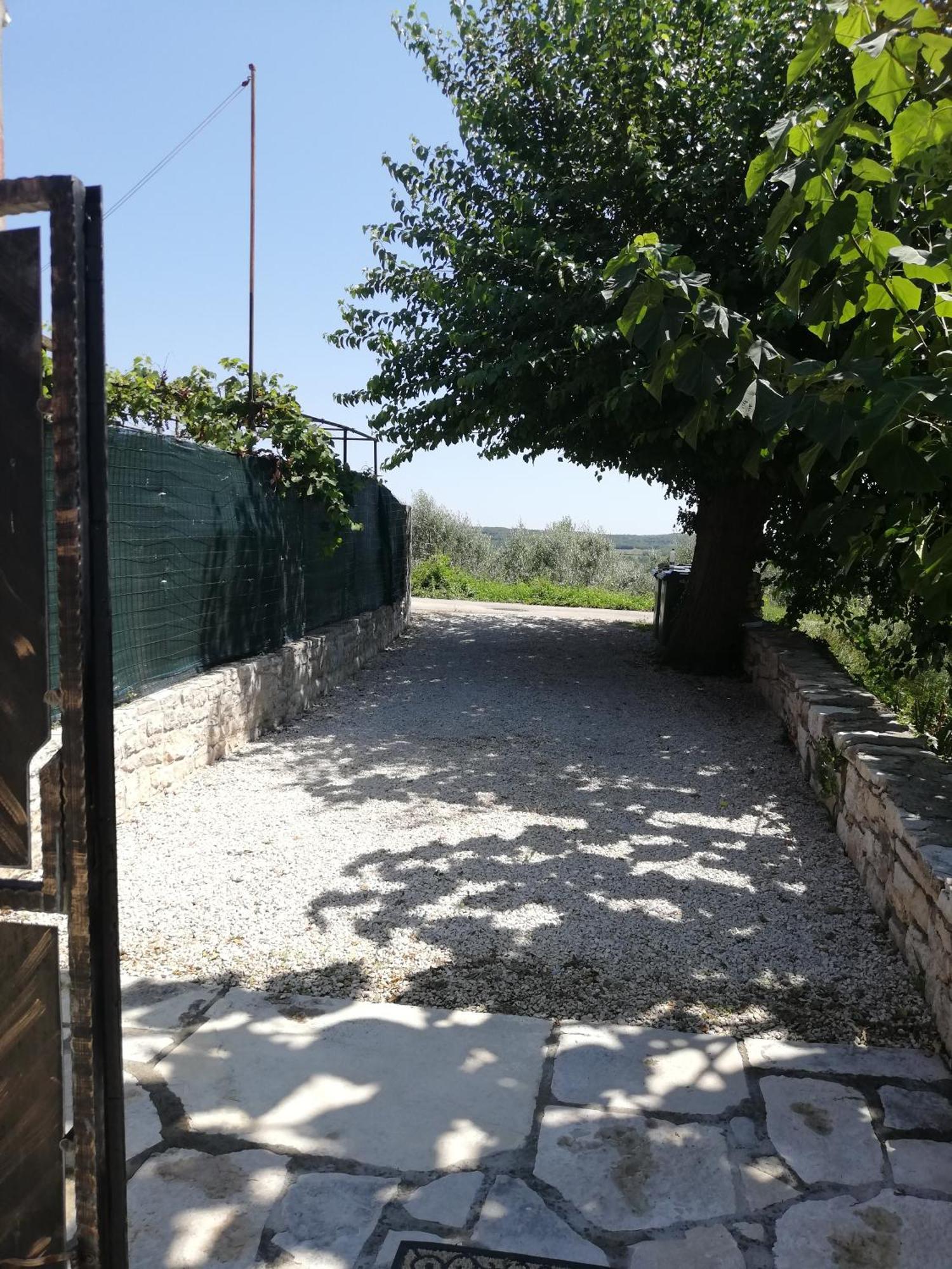 הוילה Sveti Lovreč Pazenatički Lory מראה חיצוני תמונה